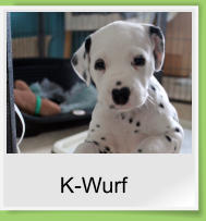 K-Wurf